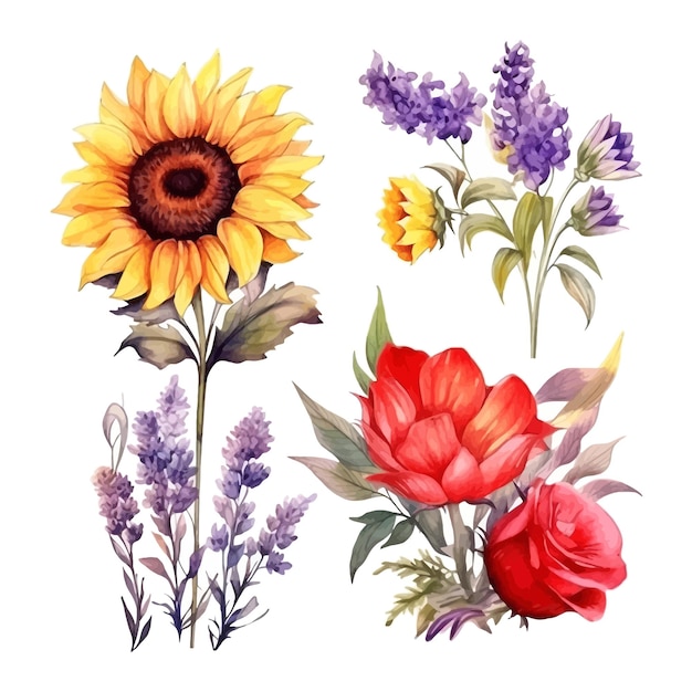 Conjunto de flores coloridas de anémonas rojas lavanda girasol acuarela