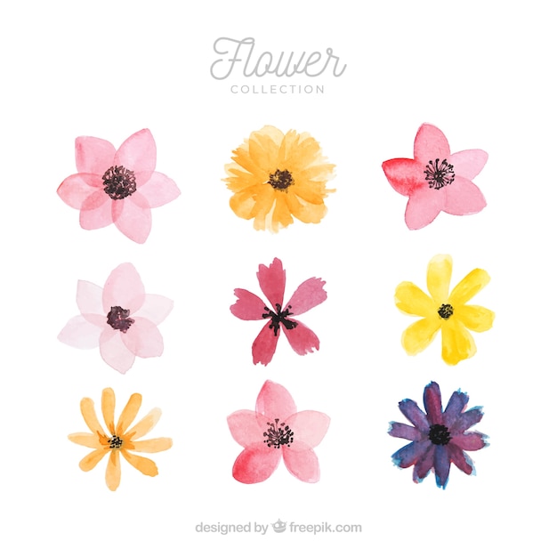 Vector gratuito conjunto de flores coloridas en estilo acuarela