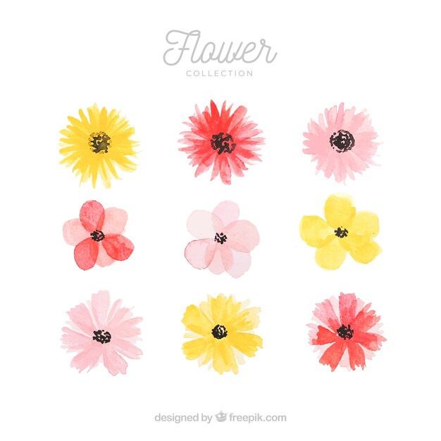 Vector gratuito conjunto de flores coloridas en estilo acuarela