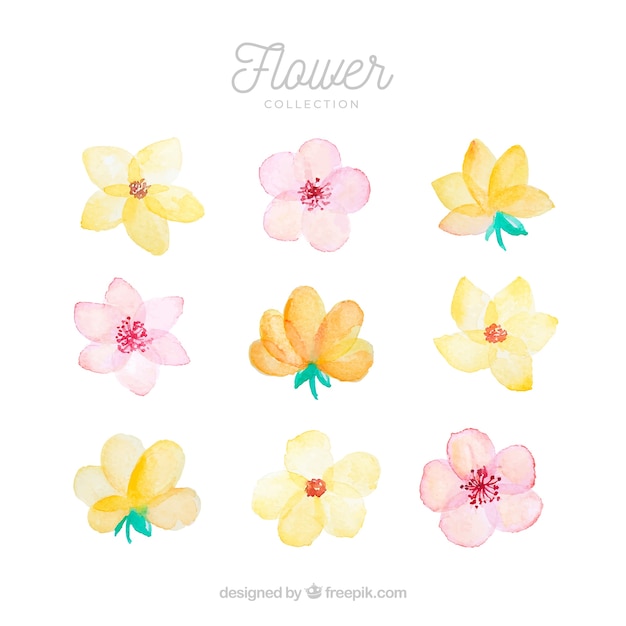 Vector gratuito conjunto de flores coloridas en estilo acuarela