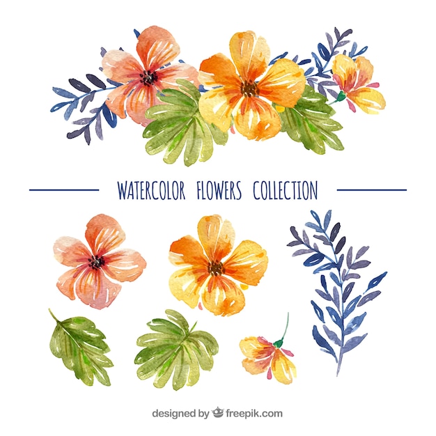 Conjunto de flores coloridas en estilo acuarela