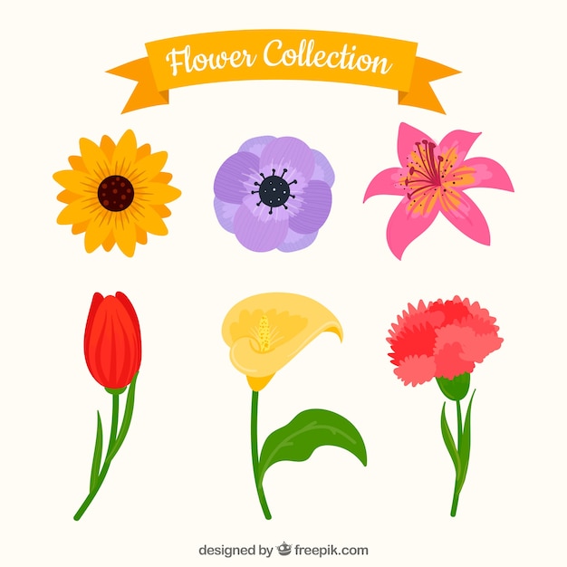 Conjunto de flores coloridas en estilo hecho a mano