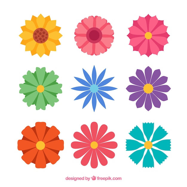 Vector gratuito conjunto de flores coloridas en estilo plano