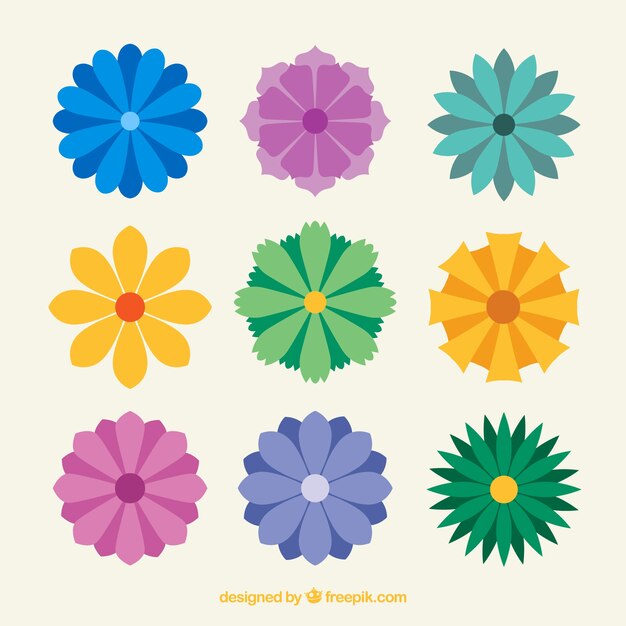 Conjunto de flores coloridas en estilo plano