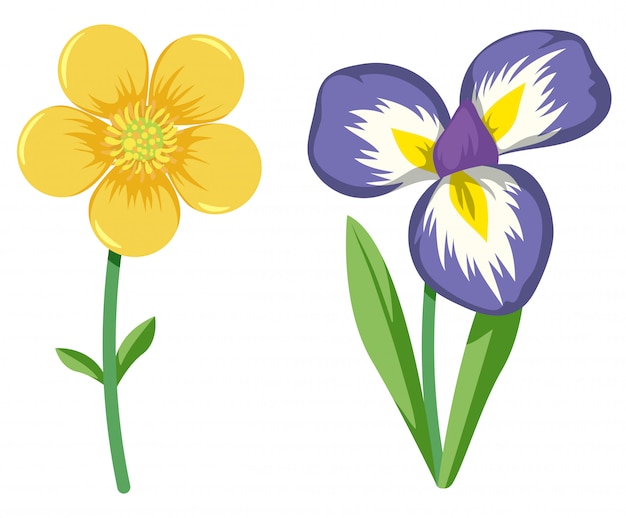 Vector gratuito conjunto de flores coloridas