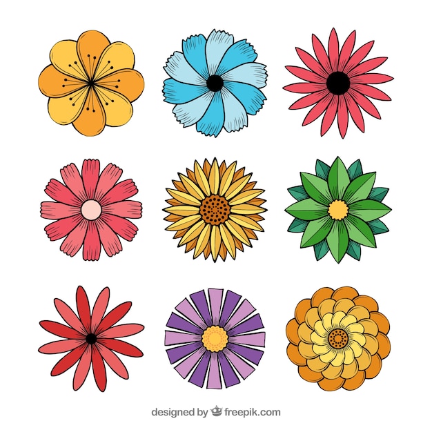 Conjunto de flores dibujadas a mano