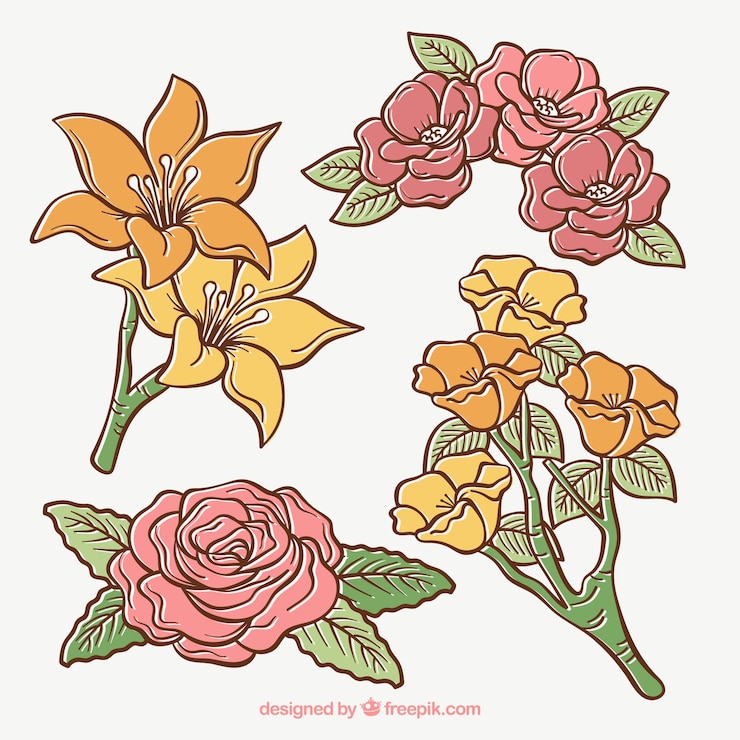 Vector gratuito conjunto de flores dibujadas a mano
