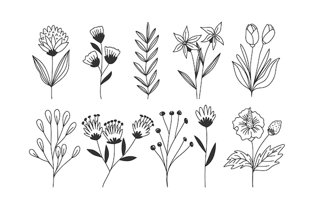 Vector gratuito conjunto de flores dibujadas a mano