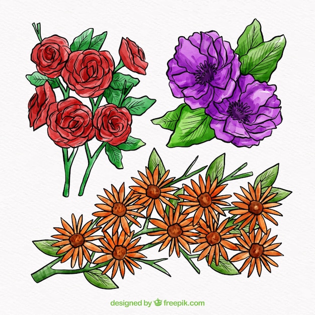 Vector gratuito conjunto de flores en estilo acuarela