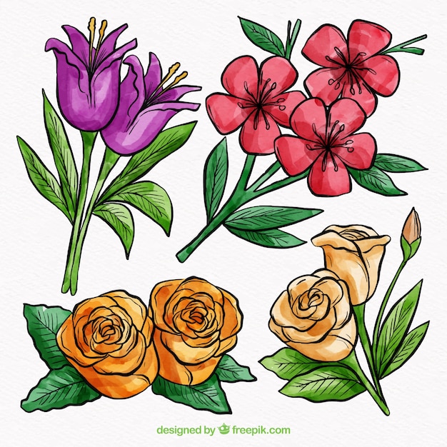 Vector gratuito conjunto de flores en estilo acuarela