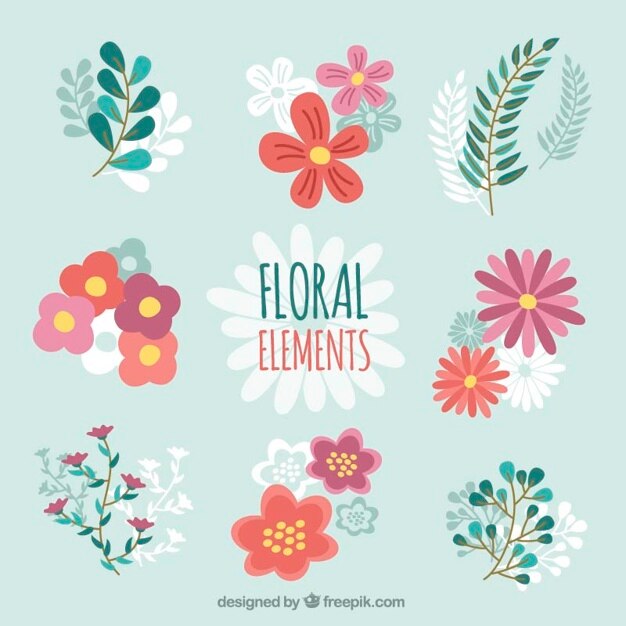 Conjunto de flores y hojas dibujadas a mano