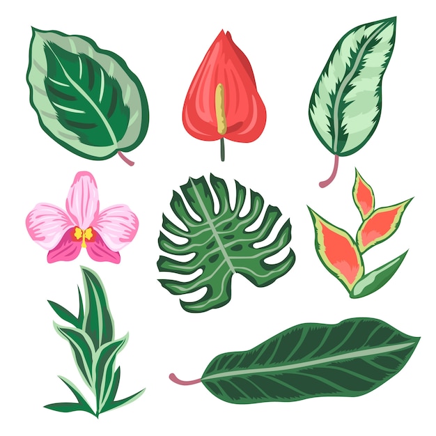Conjunto de flores y hojas tropicales