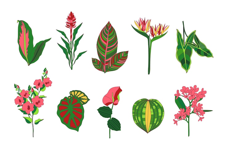 Vector gratuito conjunto de flores y hojas tropicales