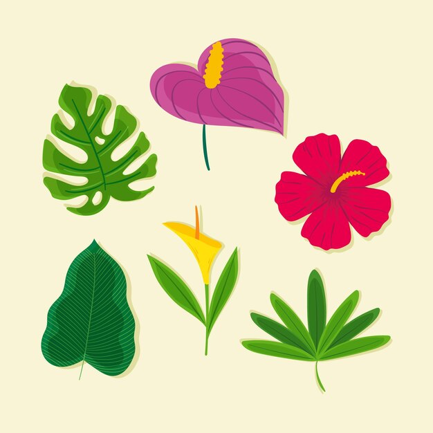 Conjunto de flores y hojas tropicales
