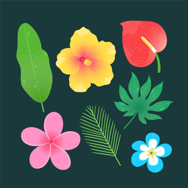 Conjunto de flores y hojas tropicales