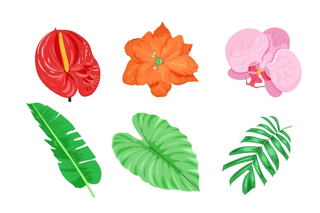 Conjunto de flores y hojas tropicales