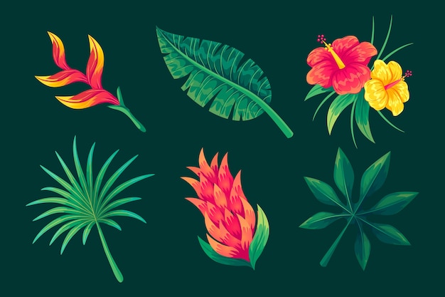 Conjunto de flores y hojas tropicales