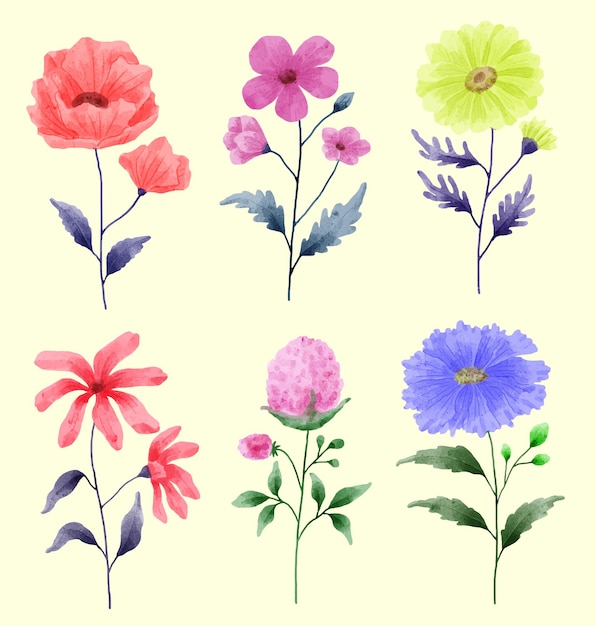 Vector gratuito un conjunto de flores pintadas con acuarelas para acompañar diversas tarjetas y tarjetas de felicitación.