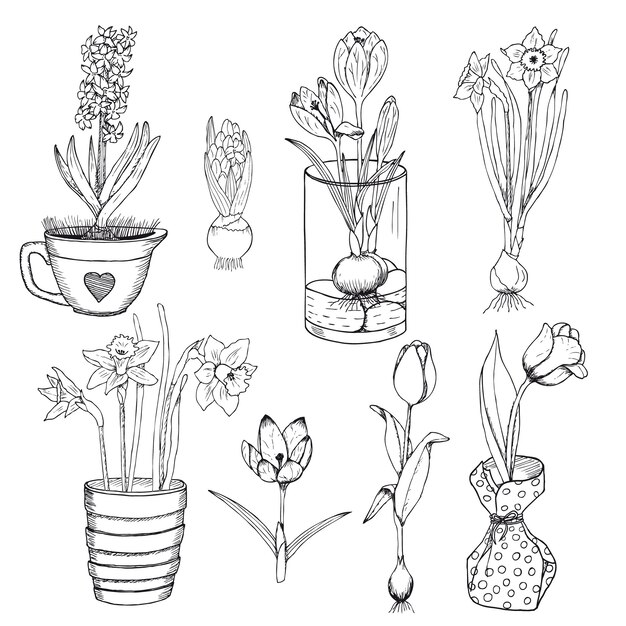 Conjunto de flores de primavera dibujadas a mano
