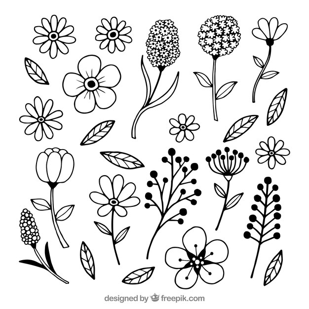 Conjunto de flores de primavera dibujados a mano