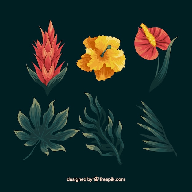 Conjunto de flores tropicales coloridas dibujadas a mano