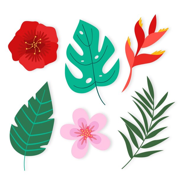 Conjunto de flores tropicales y hojas concepto