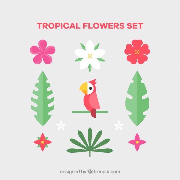 Vector gratuito conjunto de flores tropicales y pájaro en estilo plano