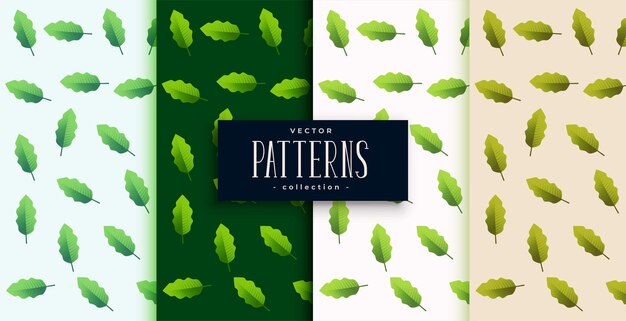 Conjunto de fondo de patrón de hojas verdes