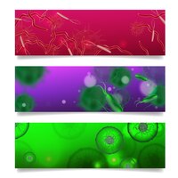 Vector gratis conjunto de formas bacterianas de tres pancartas horizontales con ilustraciones e imágenes realistas de microbios coloridos microorganismos ilustración vectorial