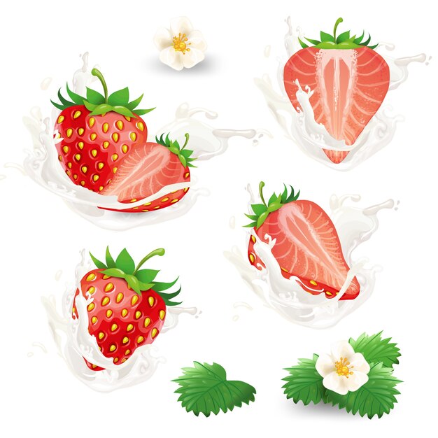 conjunto de fresas enteras y medias con flores, hojas y crema, leche o salpicaduras de yogur.