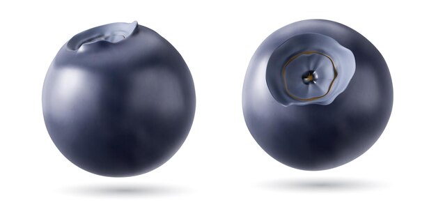 Conjunto de frutas vectoriales aisladas de arándanos 3D realistas