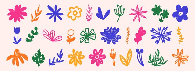Conjunto de garabates botánicos con flores dibujadas a mano