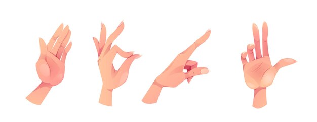 Conjunto de gestos de mano de vector hembra de brazo de palma aislado