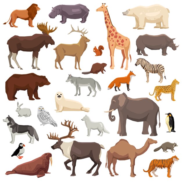 Conjunto grande de animales