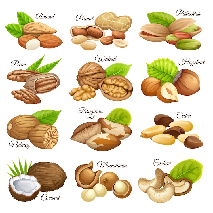 Conjunto de granos alimenticios nueces.