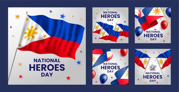 Vector gratuito conjunto de historias realistas de ig del día de los héroes nacionales