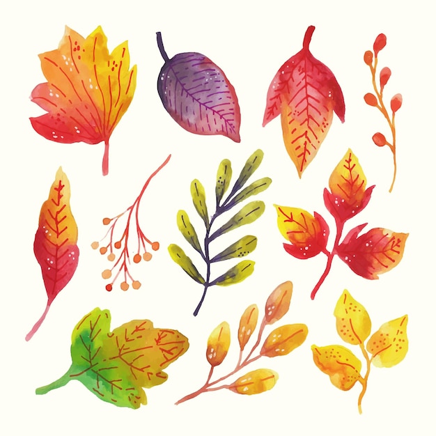 Conjunto de hojas de acuarela pintadas a mano