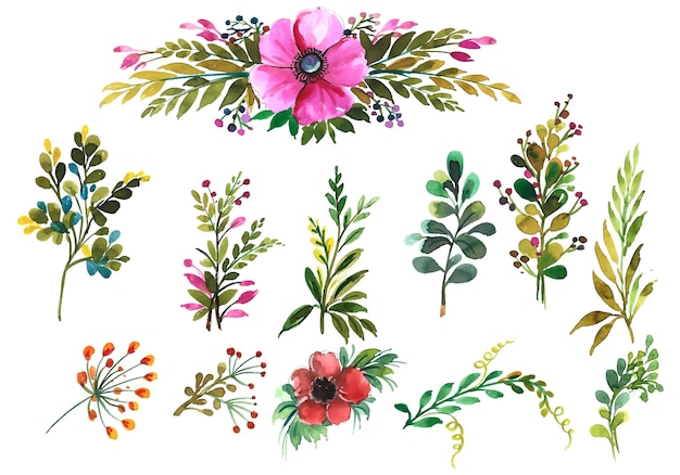 Vector gratuito conjunto de hojas florales dibujadas a mano diseño de acuarela