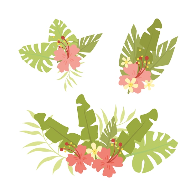 conjunto de hojas y flores de palma