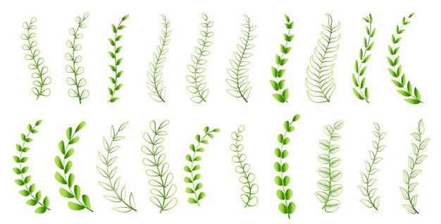 conjunto de hojas herbáceas y orgánicas para la decoración del jardín