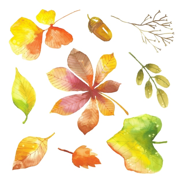 Conjunto de hojas de otoño acuarela