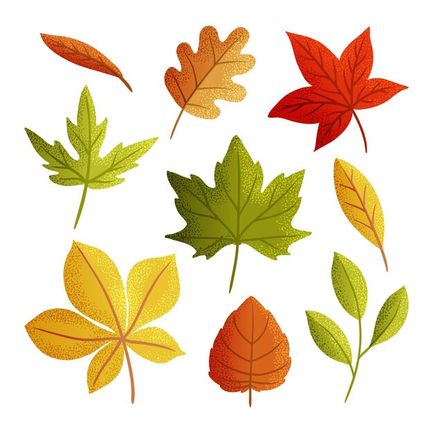 Conjunto de hojas de otoño dibujadas a mano