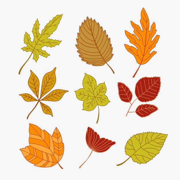 Conjunto de hojas de otoño dibujado a mano