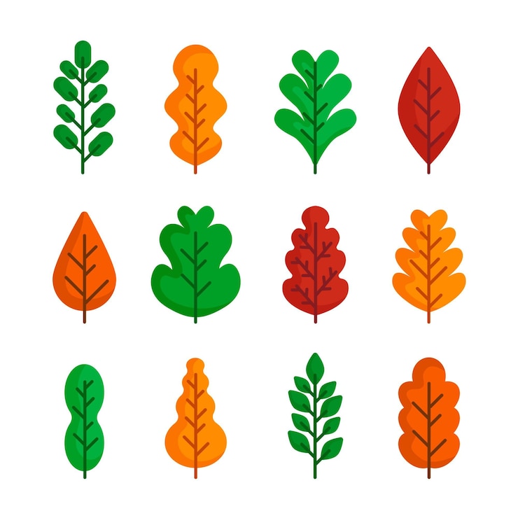 Vector gratuito conjunto de hojas de otoño de diseño plano