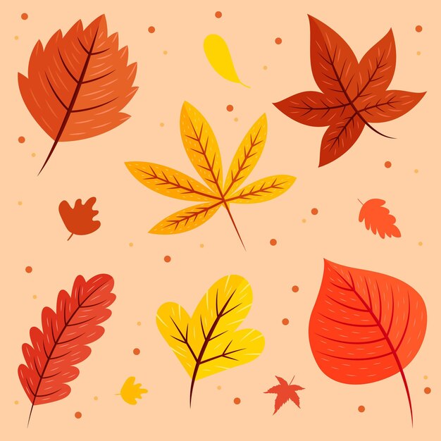 Conjunto de hojas de otoño