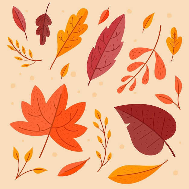 Conjunto de hojas de otoño