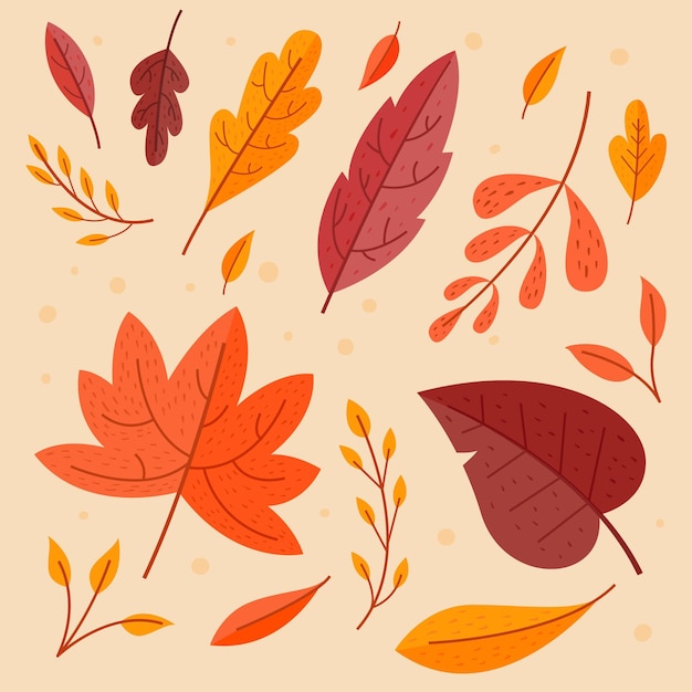 Vector gratuito conjunto de hojas de otoño