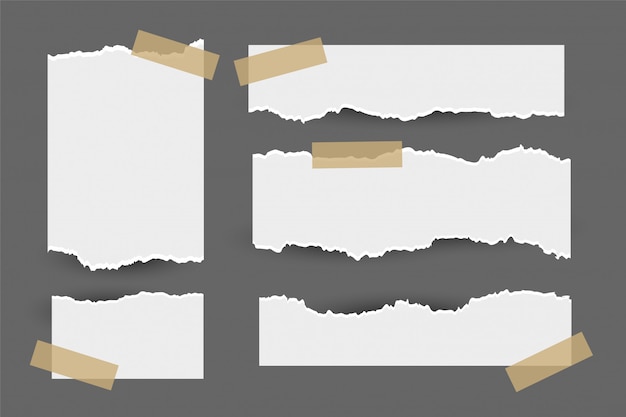 Conjunto de hojas de papel rasgado rasgado con etiqueta