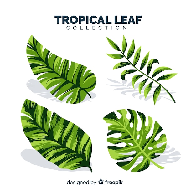 Vector gratuito conjunto de hojas tropicales con diseño plano