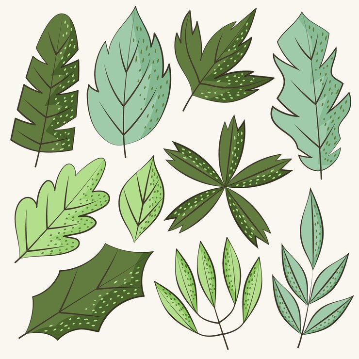 Vector gratuito conjunto de hojas verdes dibujadas a mano